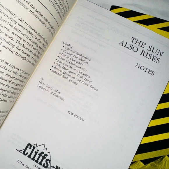 Cliffs Notes Set Of Three Books Hawthorne & Joyce / The Scarlet Letter & More - Picture 6 of 7